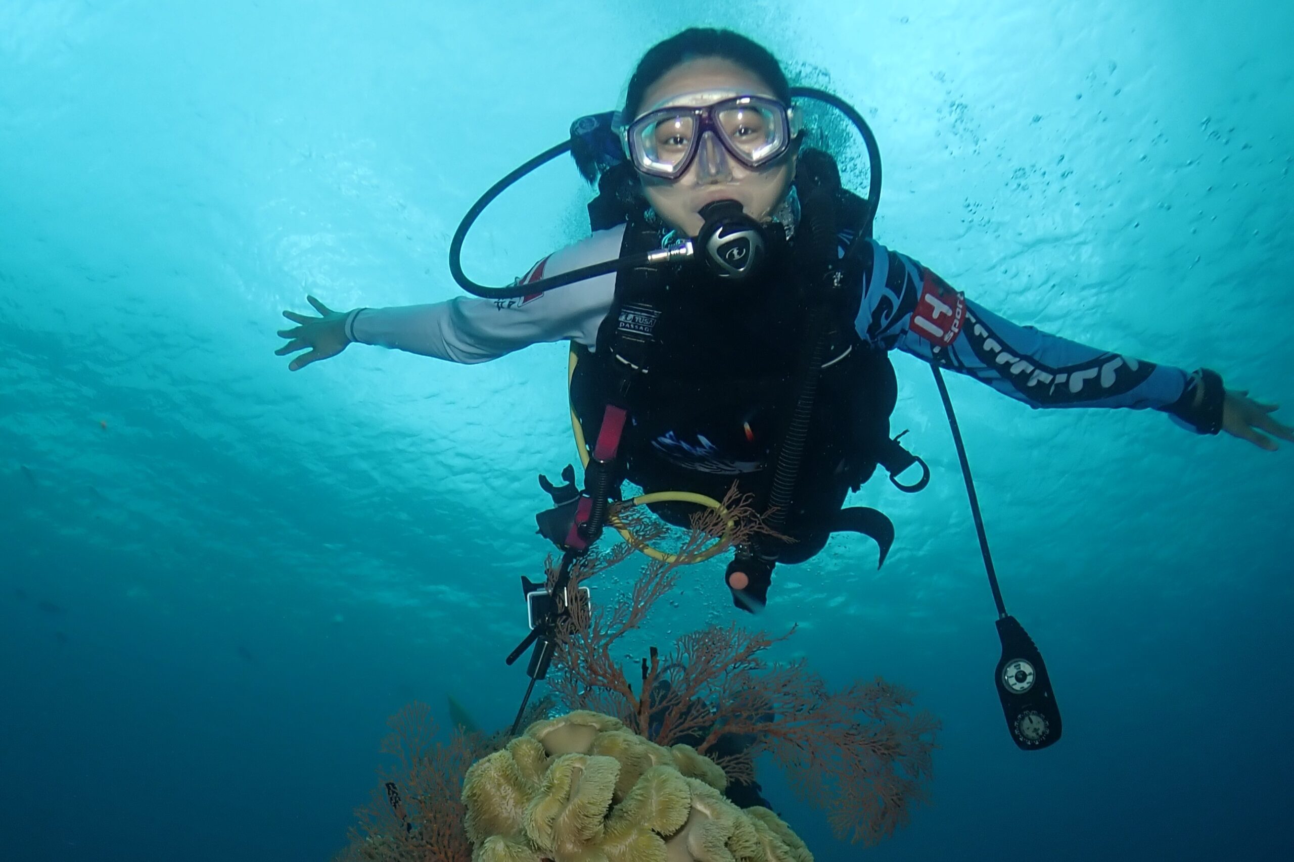Scuba Diving in Menjangan Island 2