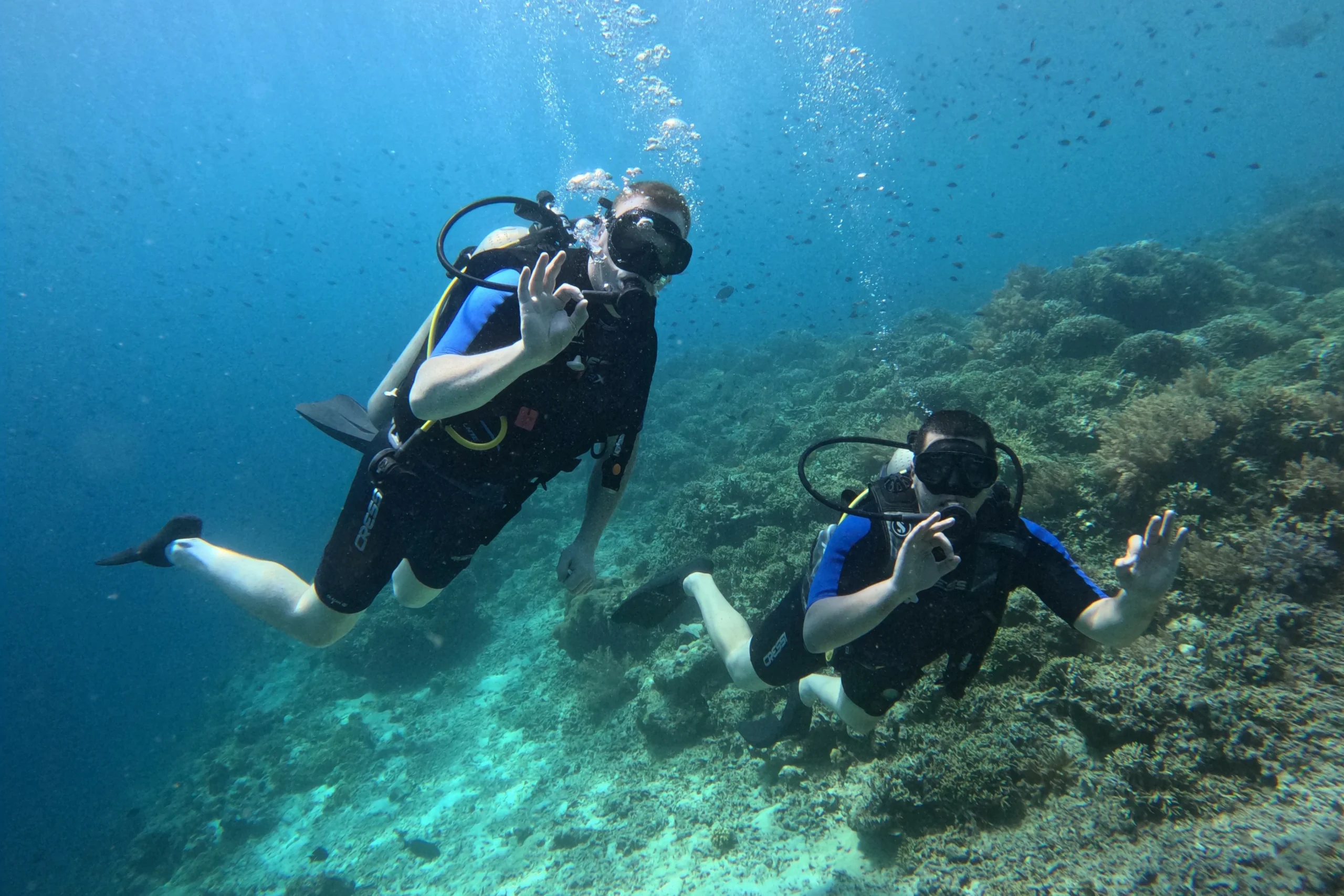 Try Scuba Diving